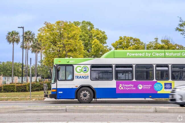 Gold Coast Transport serves all of the Rio Lindo area.