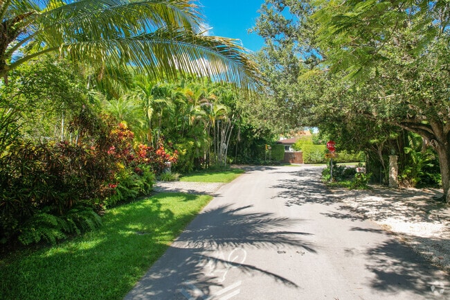 South Miami is full of bright, green foliage.