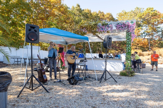 Chill out and listen to music at Hampton Bays Fall Festival in Quogue.