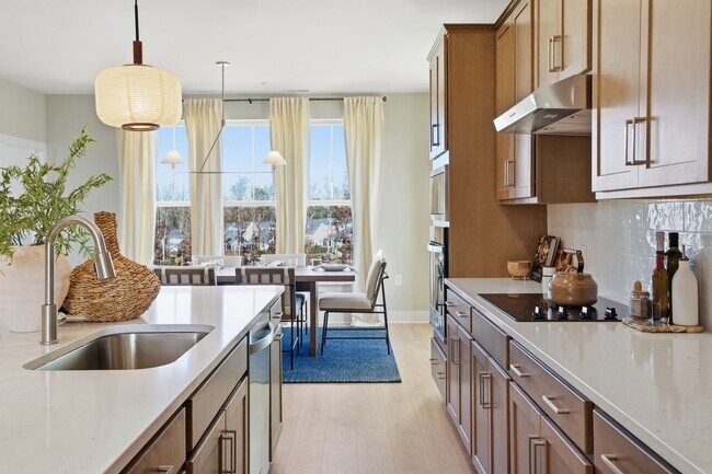 The Aire At Westchester - The Aire at Westchester, Aspen II Plan unit 38506541, Midlothian, VA 23113 - photo 3