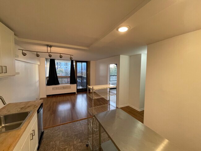 Bryant House unit 607A, Chicago, IL 60610 - photo 6