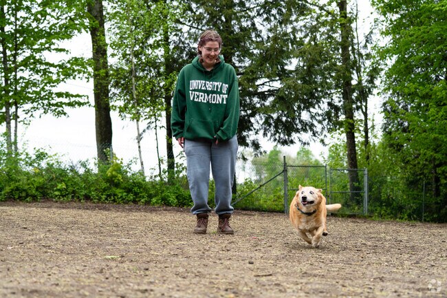A person and their dog play fetch at a dog park in Derby Center.