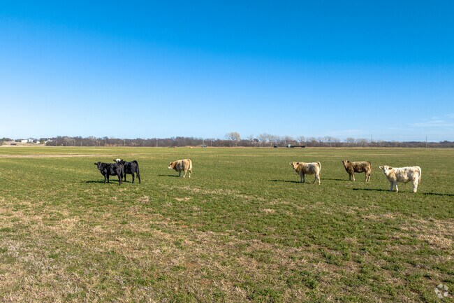 Washington is a perfect neighborhood to raise live stock.