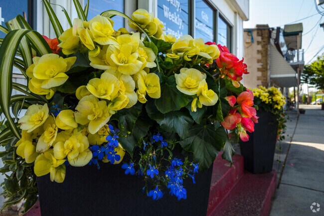 Colorful flowers along the sidewalks of Downtown Laurel Springs.
