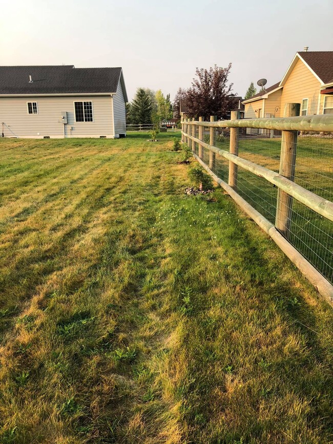 Back yard