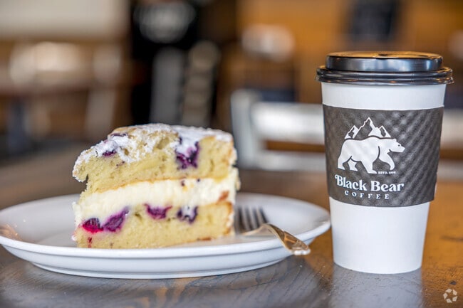 Black Bear Coffee is one of the top-rated coffee shops in Broadmoor Bluff, Colorado Springs.