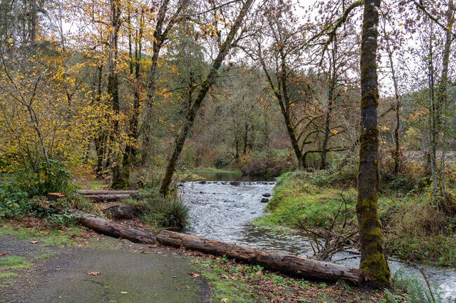Roaring River County Park has stunning river views.