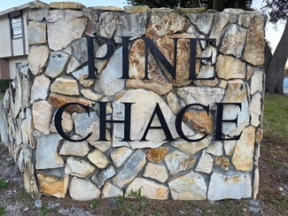 2031 Pine Chace Ct, Tampa, FL 33613