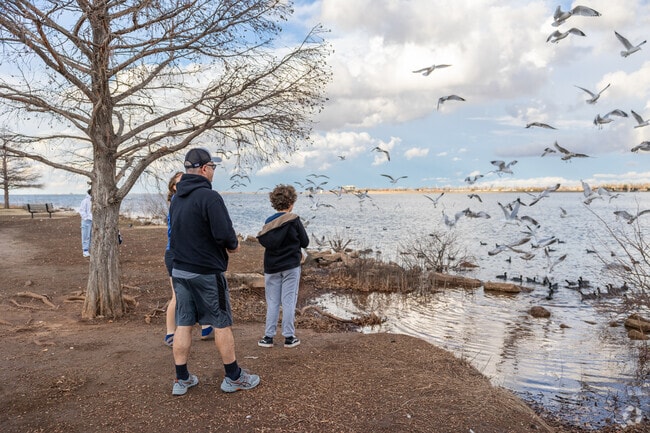 Springdale is within close proximity to Stars and Stripes Park.