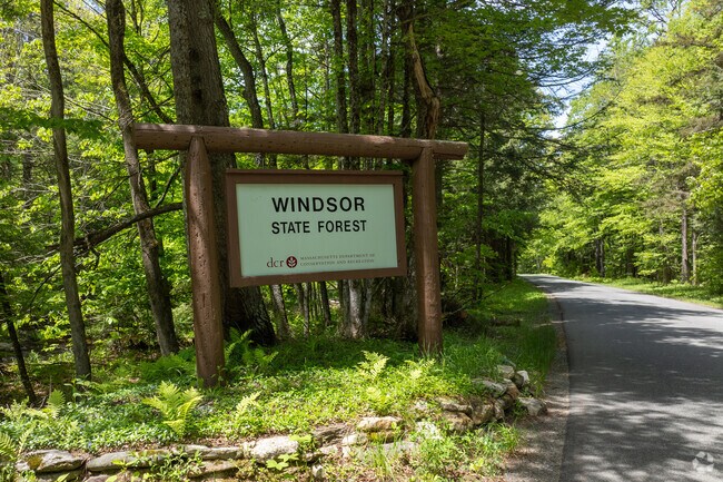 When you feel like disconnecting and getting off the grid, there is no better place than the Windsor State Forest.