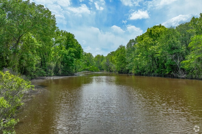 Explore the serene beauty of the Yalobusha River in Grenada, MS, where nature's tranquility meets outdoor adventure.