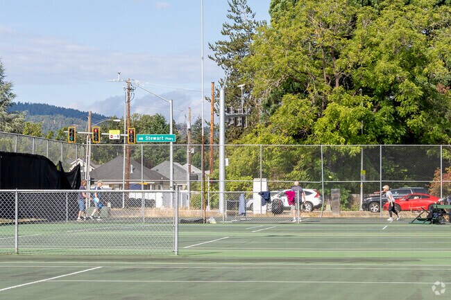 Stewart Park is filled with pickleball players.