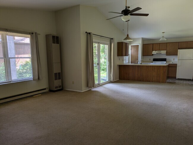 Open Kitchen/dining/LR