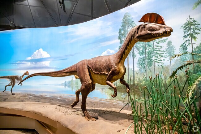 Dinosaur State Park is a popular natural and historical attraction located in Rocky Hill, CT