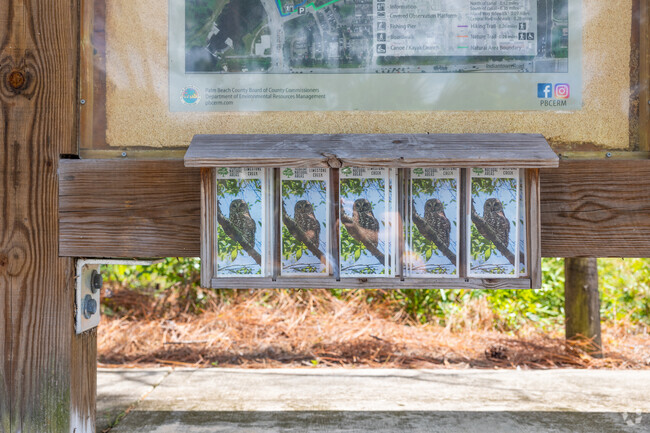 There are many bird species live in Limestone Creek neighborhood.