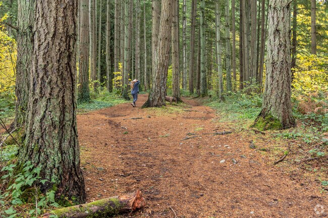 Orangegate Park in Summit Puyallup has quite a few trails for folks to walk along.