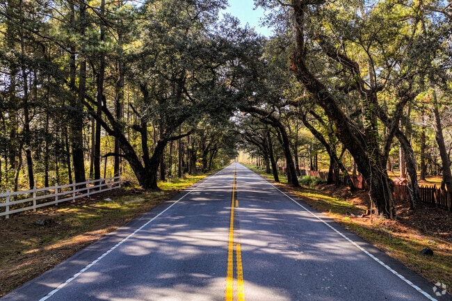 Parts of Cordesville roads are lined with draping oaks.
