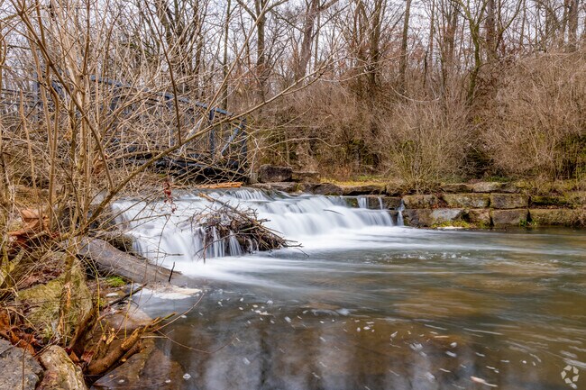 The spring flowing out of Sequiota Cave merges into Galloway Creek.