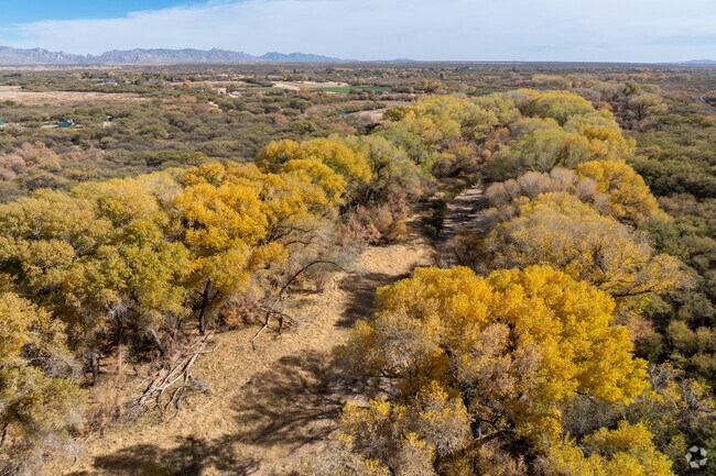 Set on the banks of the San Pedro River, Saint David is home to miles of stunning trees and wildlife in the Benson area.