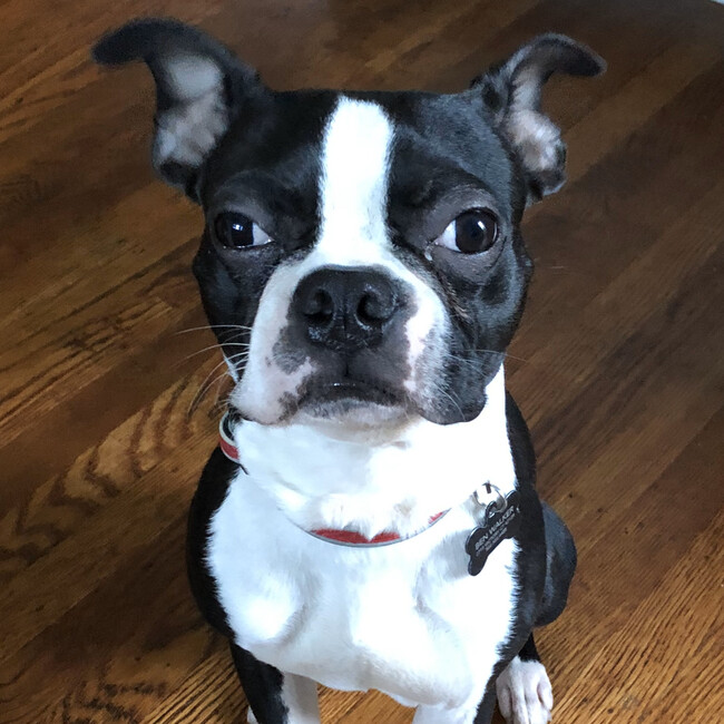 Agent Photo