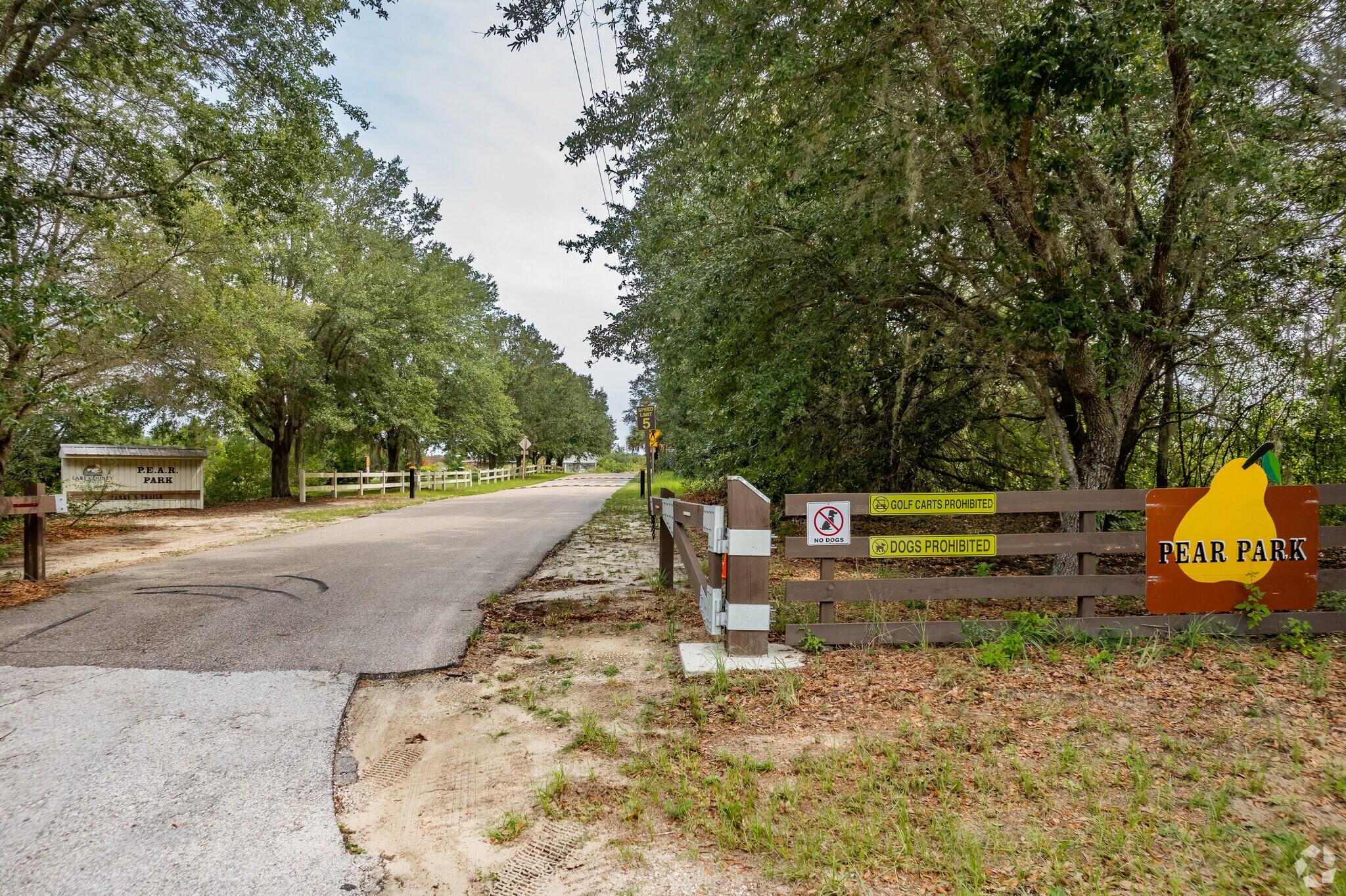 About HoweyintheHills/Yalaha Schools, Demographics, Things to Do