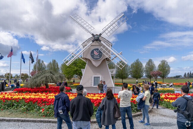 Each spring, Smokey Point residents head to Mount Vernon’s Tulip Town for the festival.