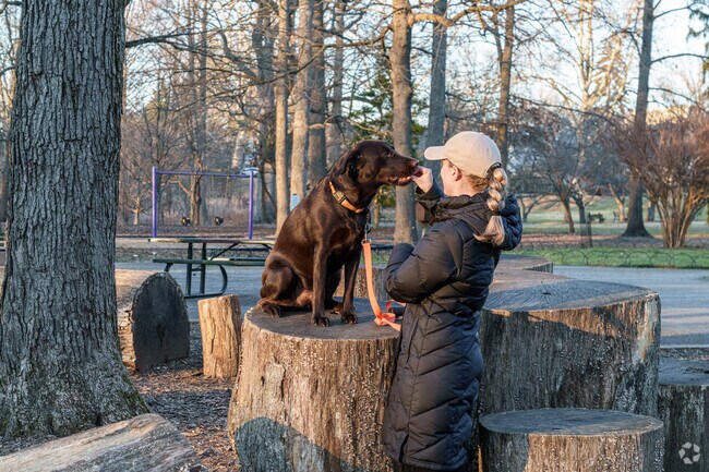 A four-legged West Chester resident asserts his rights over a stump in Everhart Park.
