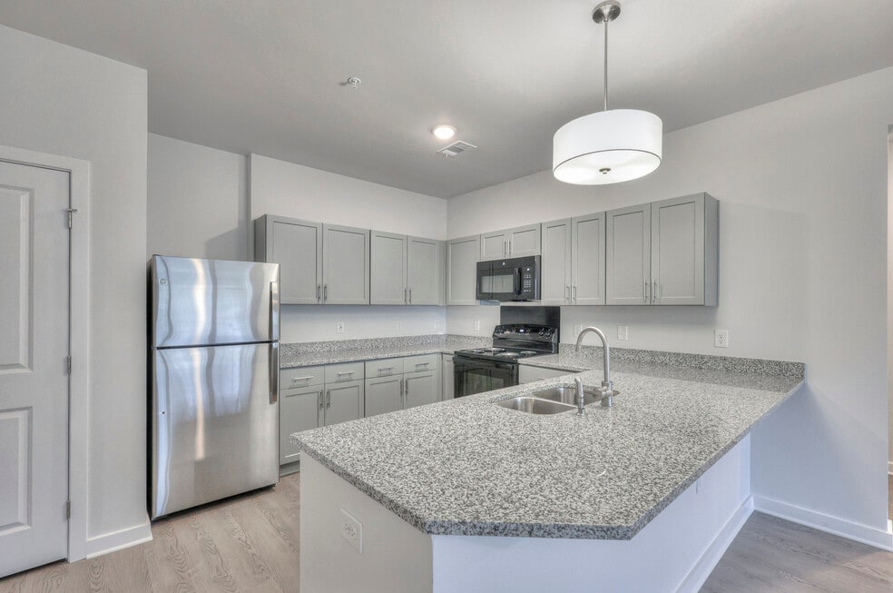 Blue Ridge Flats, Manor, TX 78653 - photo 1