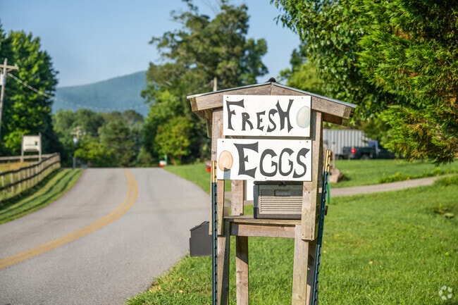 Blairsville is a charming farming community where you can conveniently stop along the road to purchase fresh eggs.