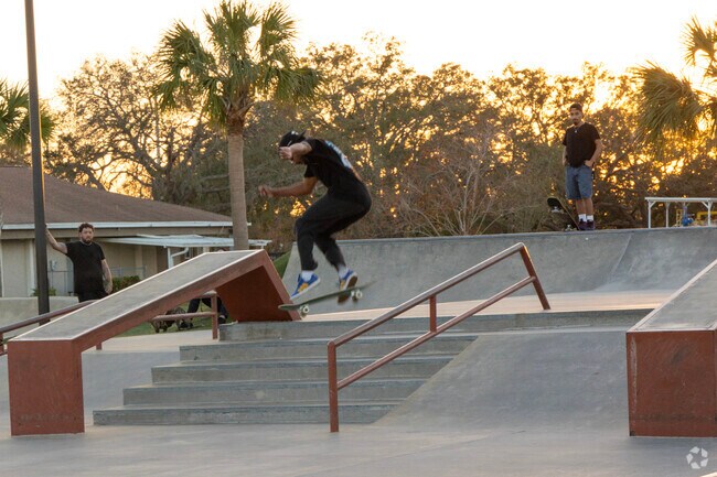 Carrollwood Village Park boasts a nice skate park.