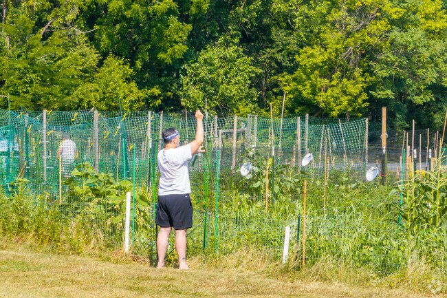 Lancaster County Central Park in Bridgeport has has about 50 organic, year-round plots to rent.