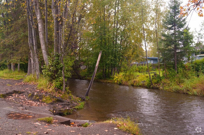 The sounds of Chester Creek will relax you at Valley of the Moon Park.
