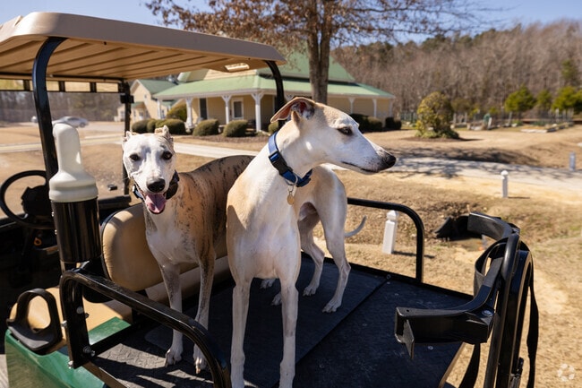 Residents of Albemarle Plantation often enjoy rides around the neighborhood in their golf carts.