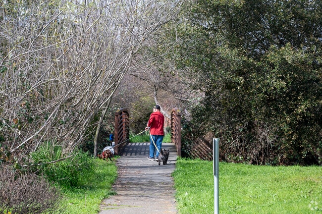 There are plenty of awesome walking paths in the Skyhawk neighborhood.