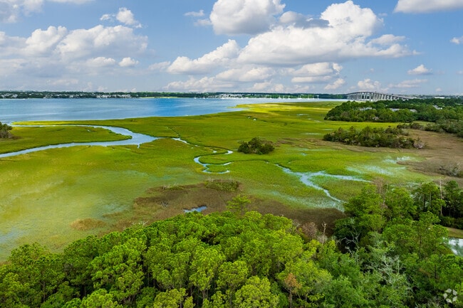 The beautiful marshes along the  Wando River are filled with wildlife in Hobcaw Plantation.