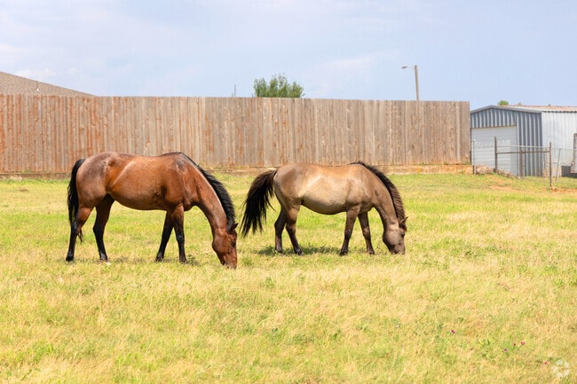 Horses are found throughout the wide open fields of Canadian Estates.