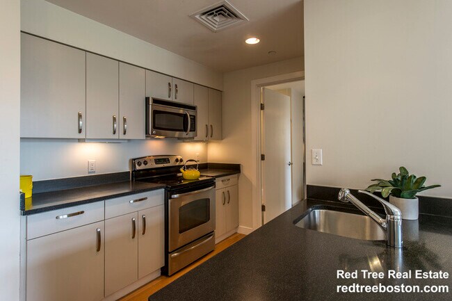 601 Albany St unit 302, Boston, MA 02118 - photo 2