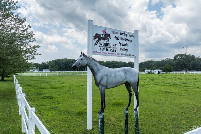 Woodbine Equestrian Center is family-oriented and trains people and horses.