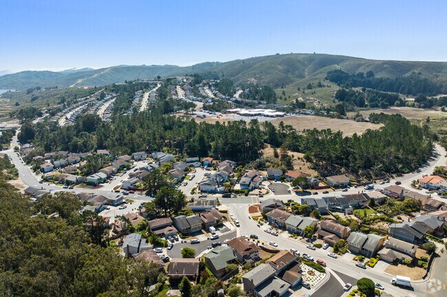 Portola Highlands offers a peaceful retreat with winding roads and expansive hillside views.