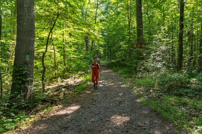 Walking on one of the many trails in Union Township.