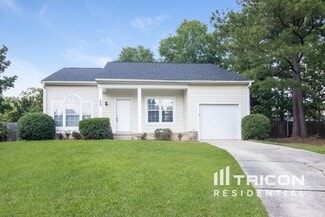 309 Tendrill Ct, Columbia, SC 29210