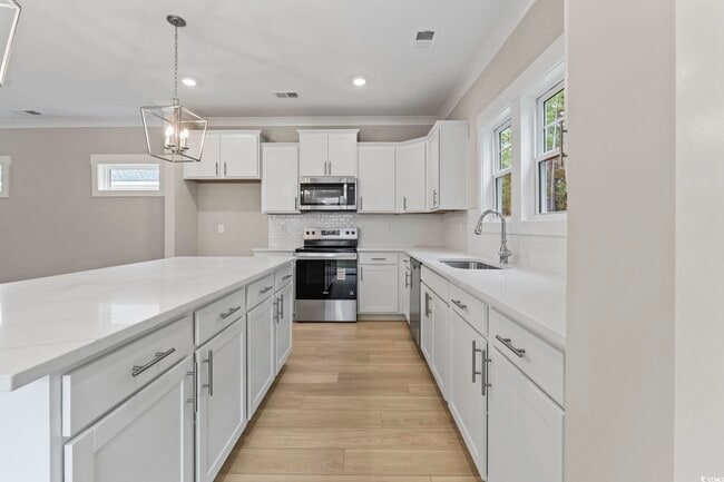 3129 Tiger Tail Rd, Conway, SC 29526 - photo 4