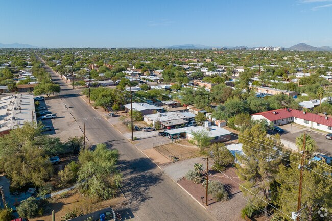 Tucson’s North Dodge area showcases a classic grid layout with broad streets framed by towering palms and graceful acacia trees offering a timeless desert charm.
