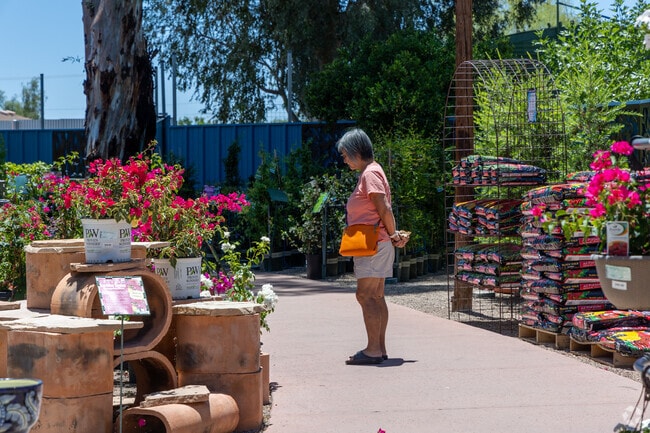Tucson-native adapted plants are found at local favorite, Harlow Gardens, in Avondale.