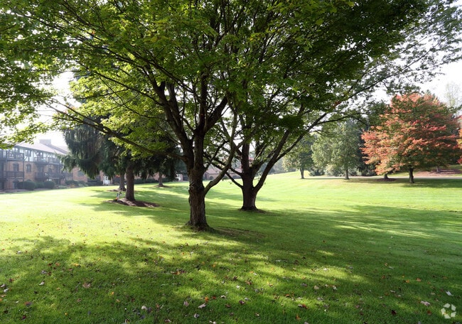 Carriage Hill Apartments: A 55 and Better Community, Canton, OH 44718 - photo 2