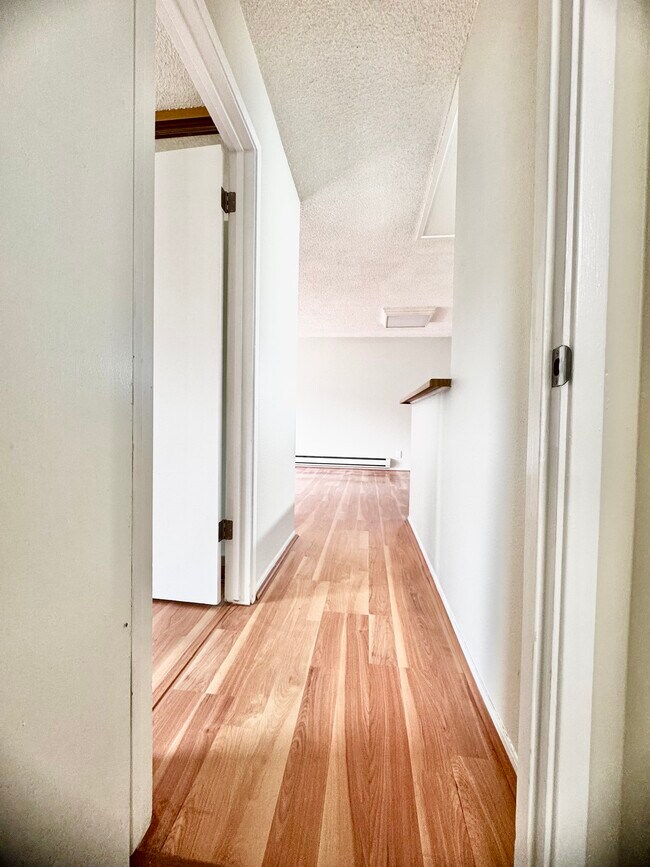 mini hallway from bathroom to livingroom