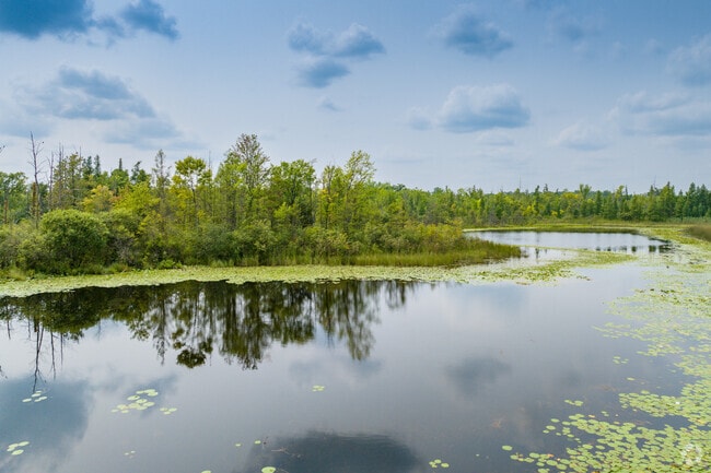 Wixom Habitat Park is a 292-acre nature preserve with a scenic lookout over Gallager Lake.