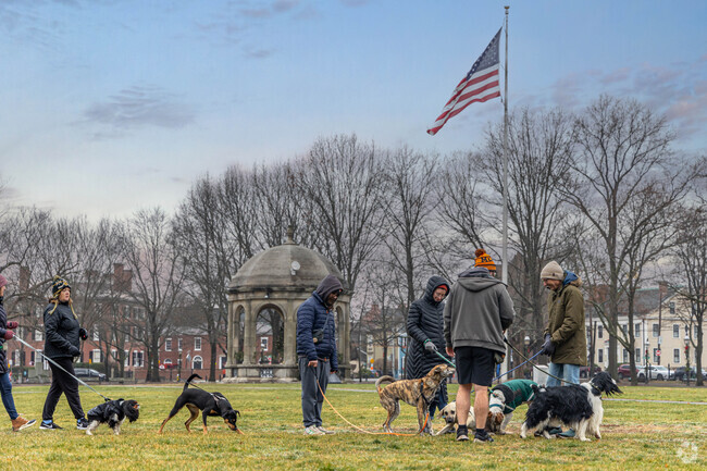 Enjoy your morning with your pet at the local park for a doggy play date near Mark Park.