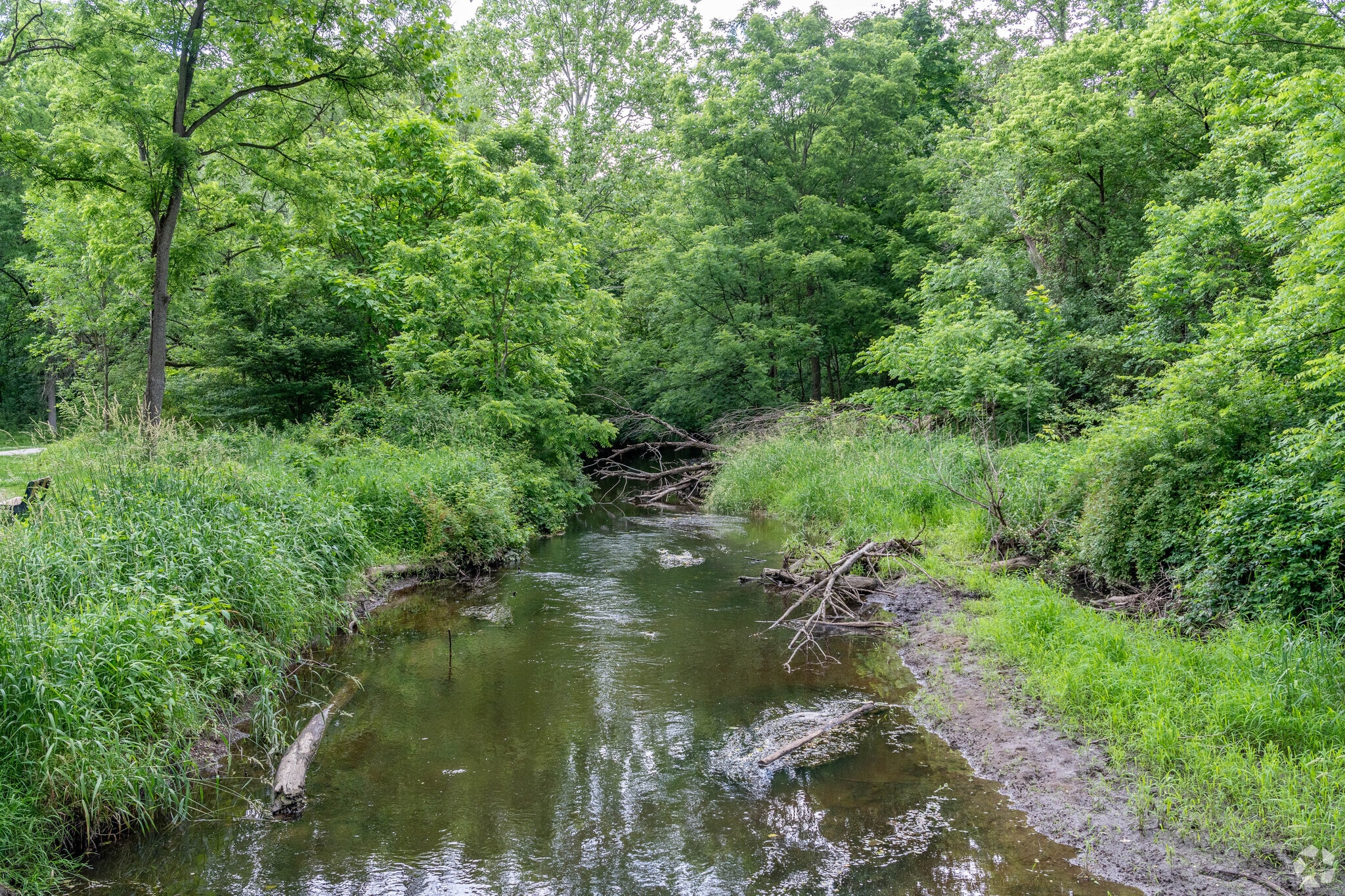 Mue Brook meanders through the Mud Brook neighborhood.