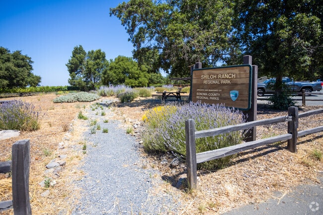 Shiloh Ranch Park in Larkfield-Wikiup is a sprawling natural park full of countless adventures.